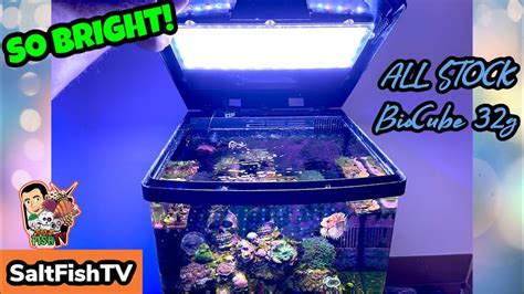 I prefer the <b>lights</b> to turn on around 10 or so and turn off by 8 or 6 depending on what is better for my fish and corals. . Biocube light settings